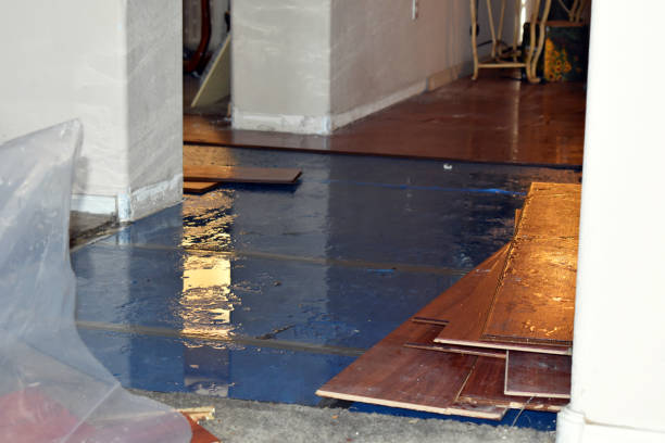 Professional Sewage Cleanup technician working in Marne, MI